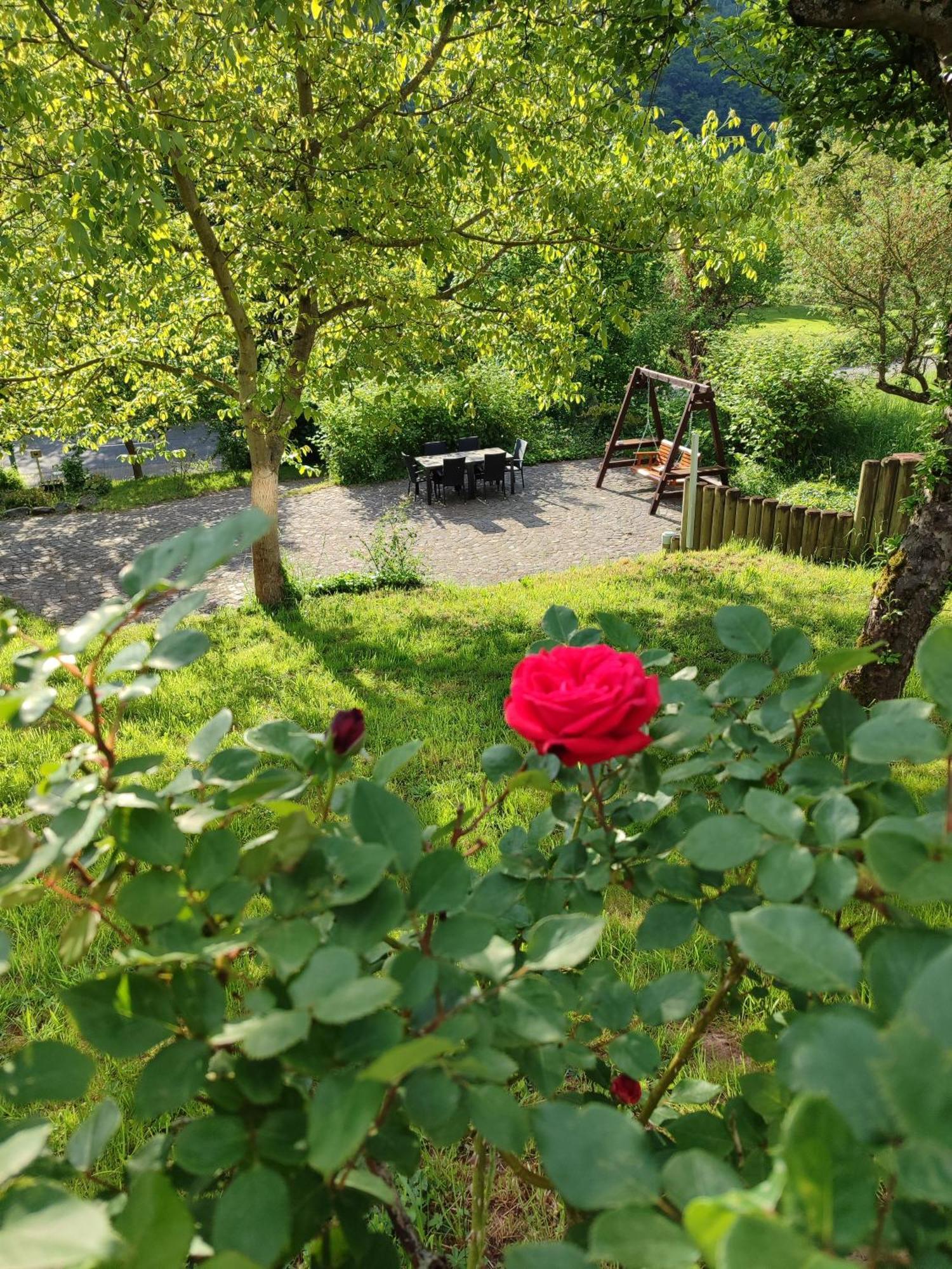 Moselina Gaestezimmer Sankt Aldegund Exterior foto