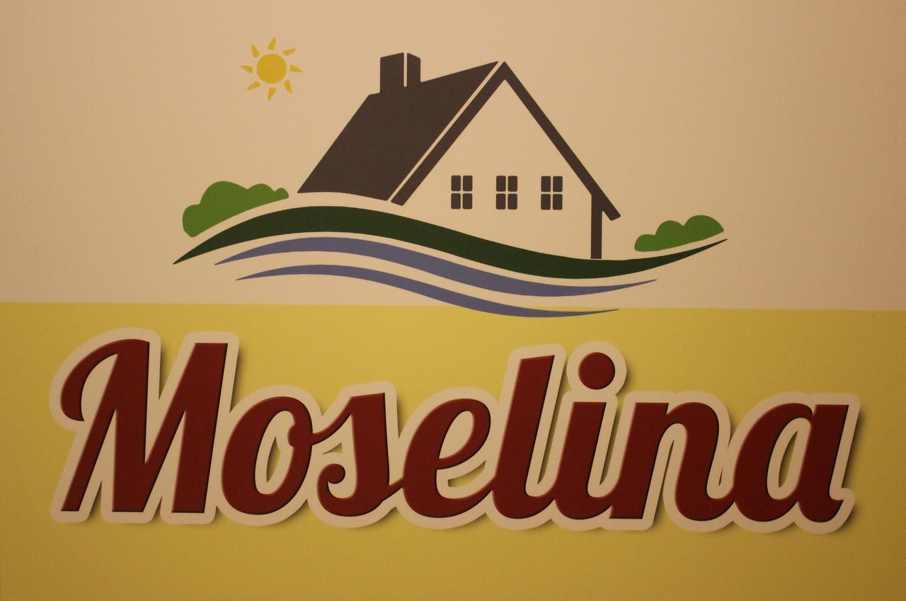 Moselina Gaestezimmer Sankt Aldegund Exterior foto